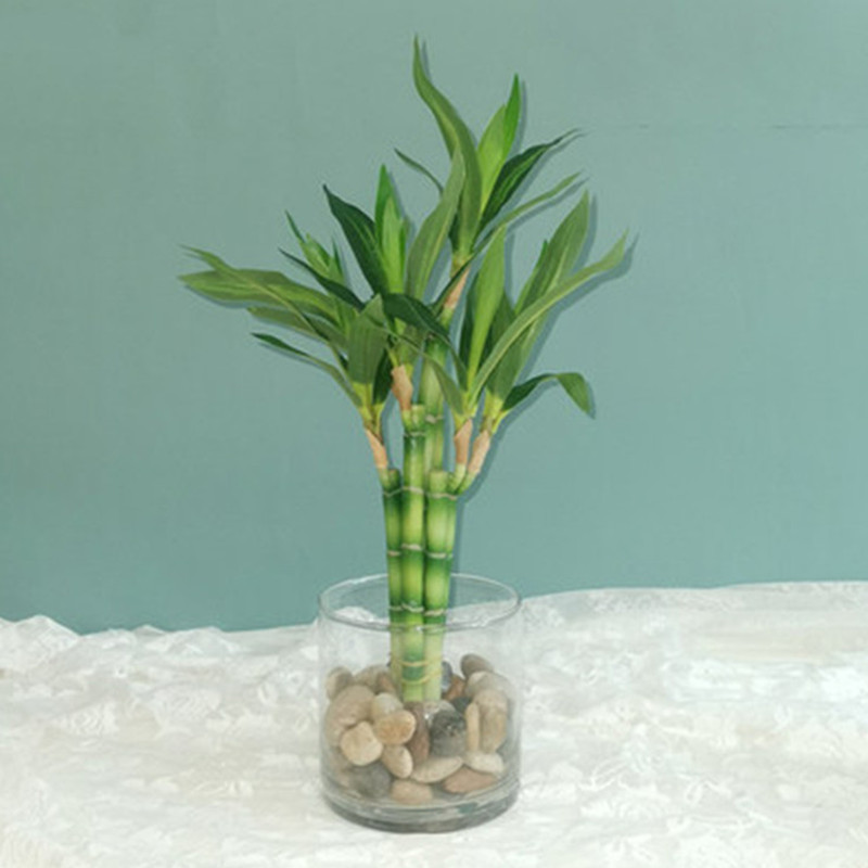 Aquarium Marine Plants - Nieuwe 40 cm rFtificial Lucky Bamboe