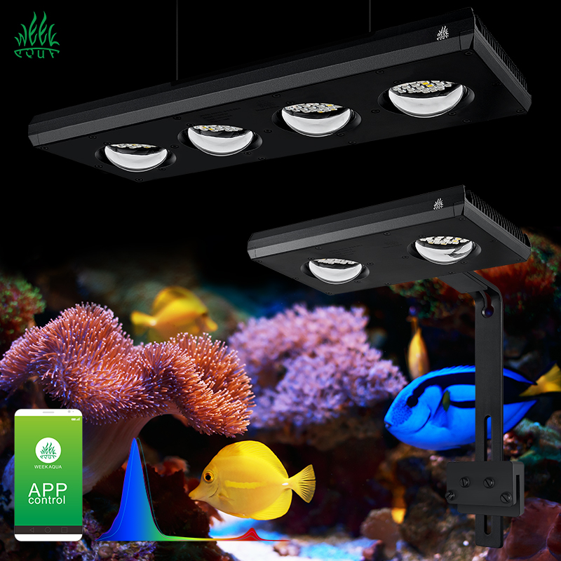 Marine Aquarium App - ZXY Hot Koop WEEKAQUA Z250 Z400sea