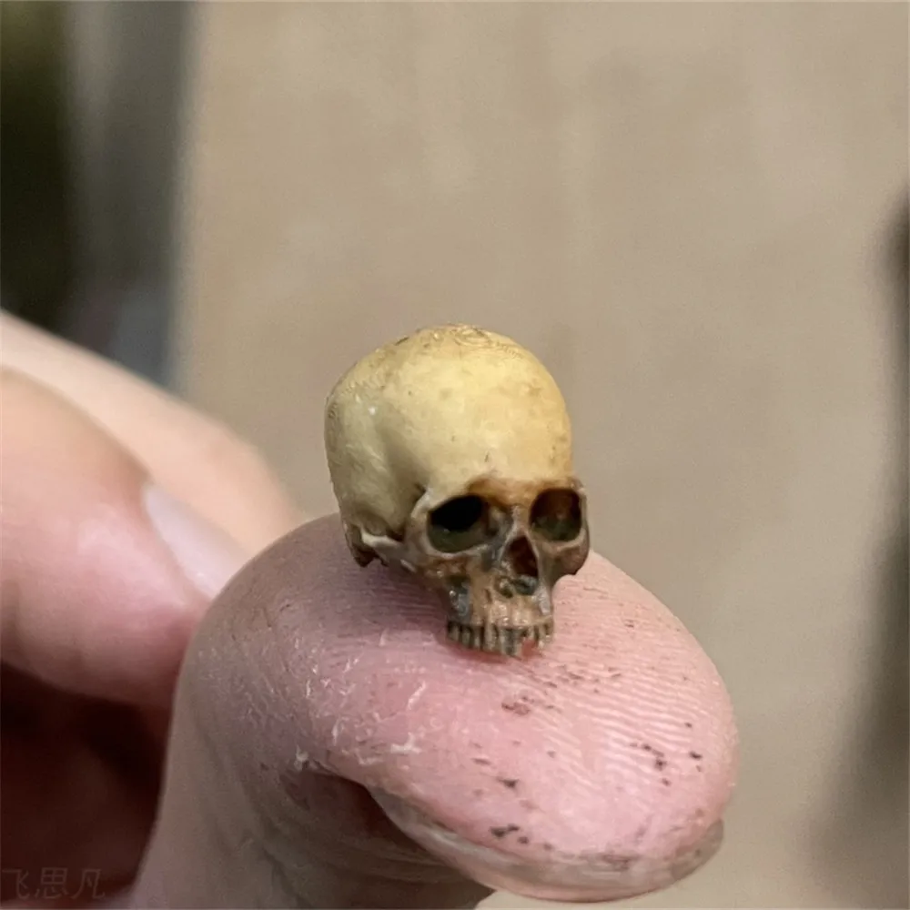 Aquarium Marine Plants - Mini Skull Hoge kwaliteit miniatuurmodel voor