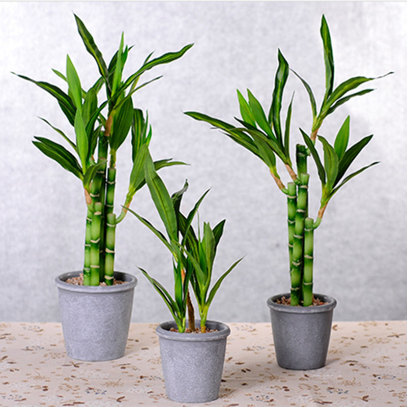 Nieuwe 40 cm rFtificial Lucky  - Aquarium Marine Plants recensie en prijs