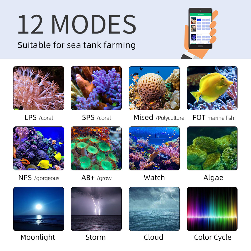ZXY Hot Koop WEEKAQUA Z250 Z40 - Marine Aquarium App recensie en prijs