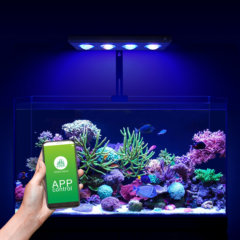 ZXY Hot Koop WEEKAQUA Z250 Z40 - Marine Aquarium App recensie en prijs
