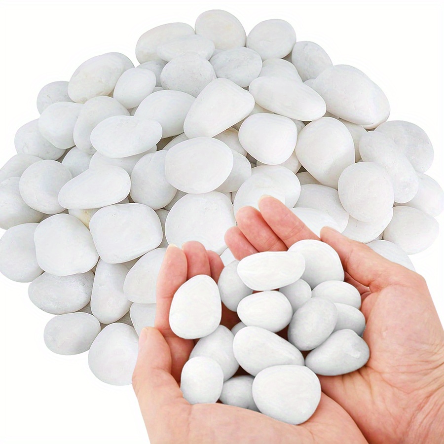 200/400g Witte Hooggepolijste  - Aquarium Marine Plants recensie en prijs