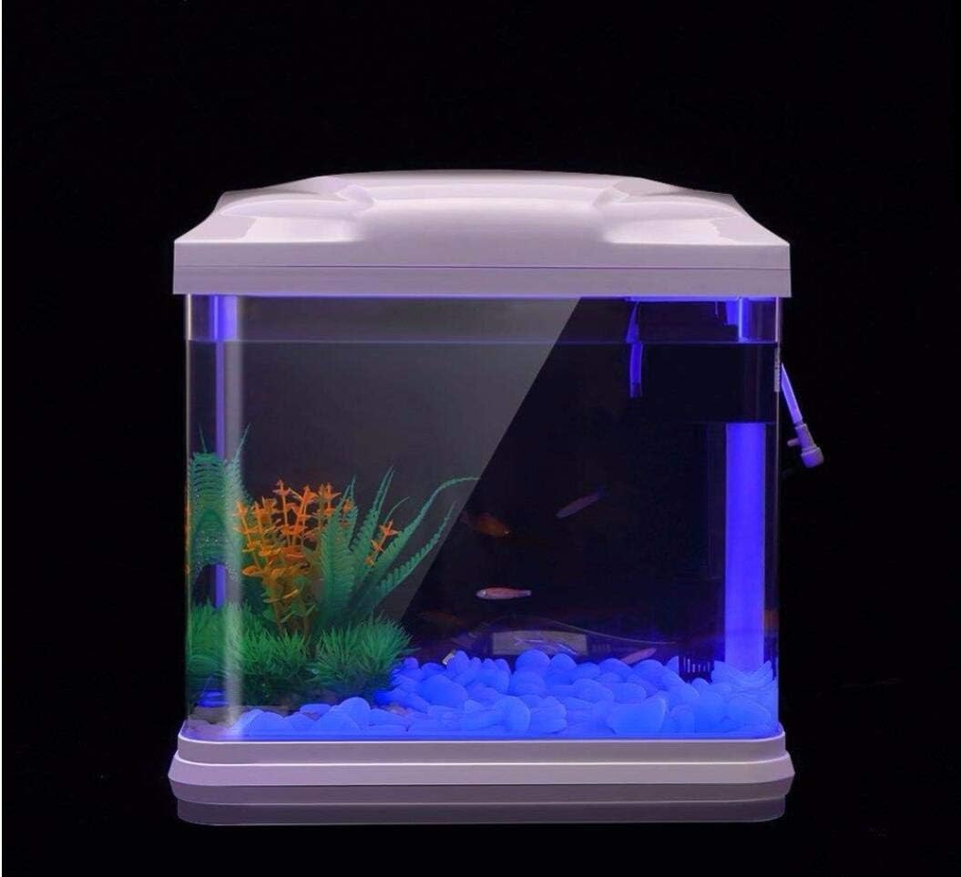 Aquarium Rotsen Glow Blue Kiez - Aquarium Marine Plants recensie en prijs