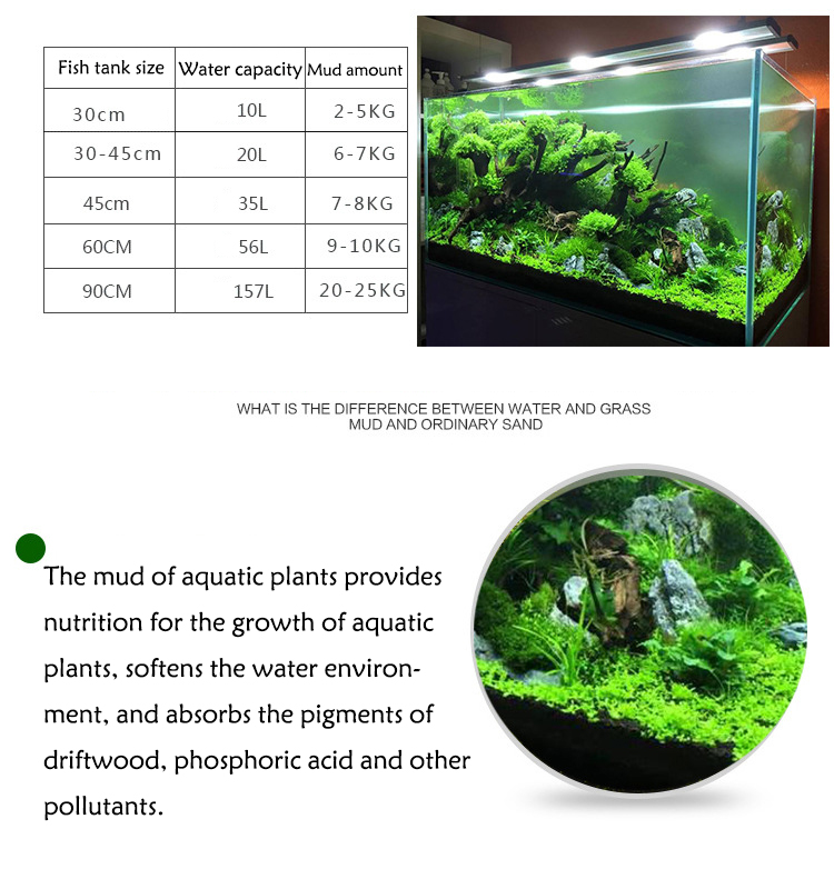Aquarium Plant Zaden Bodem Fis - Aquarium Marine Plants recensie en prijs