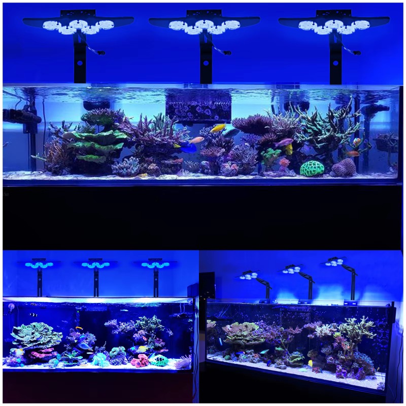 Hoge Helderheid Marine LED Vis - Marine Aquarium App recensie en prijs