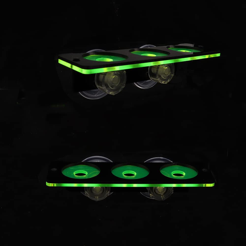 Fluorescerend Koraal Frag Plug - Marine Aquarium Design recensie en prijs